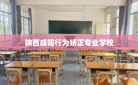 陕西咸阳行为矫正专业学校
