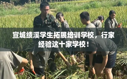 宣城绩溪学生拓展培训学校，行家经验这十家学校！