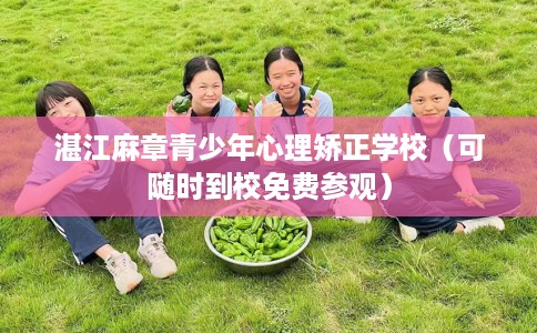 湛江麻章青少年心理矫正学校（可随时到校免费参观）