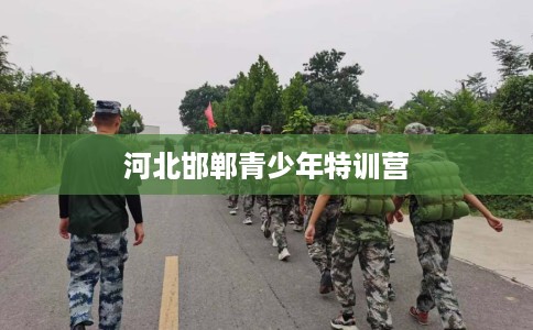 河北邯郸青少年特训营