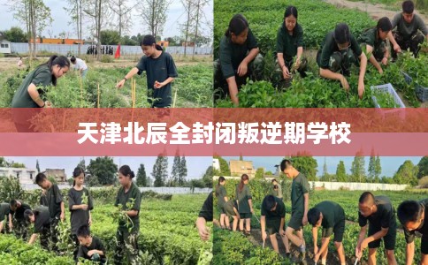 天津北辰全封闭叛逆期学校
