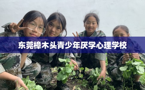 东莞樟木头青少年厌学心理学校