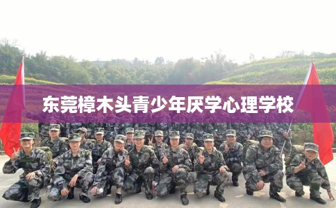 东莞樟木头青少年厌学心理学校