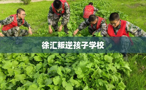 徐汇叛逆孩子学校