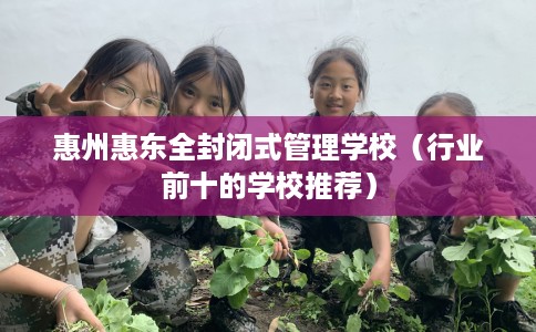 惠州惠东全封闭式管理学校（行业前十的学校推荐）