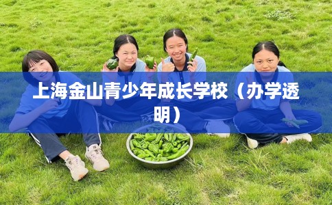 上海金山青少年成长学校（办学透明）