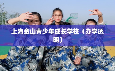 上海金山青少年成长学校（办学透明）