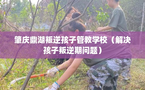 肇庆鼎湖叛逆孩子管教学校（解决孩子叛逆期问题）