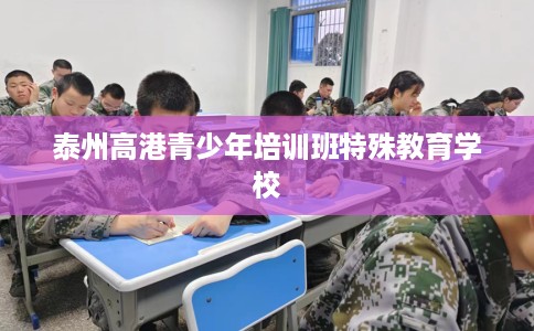 泰州高港青少年培训班特殊教育学校