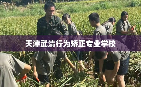 天津武清行为矫正专业学校