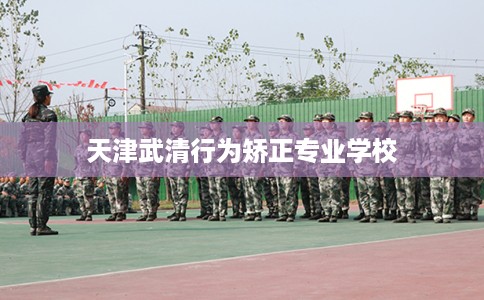 天津武清行为矫正专业学校