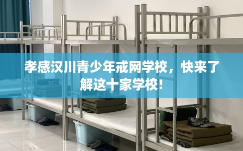 孝感汉川青少年戒网学校，快来了解这十家学校!