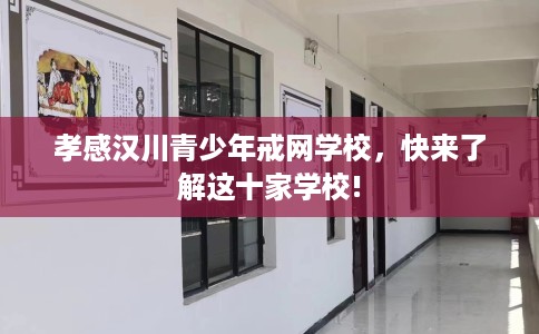 孝感汉川青少年戒网学校，快来了解这十家学校!
