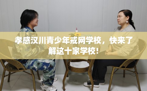 孝感汉川青少年戒网学校，快来了解这十家学校!