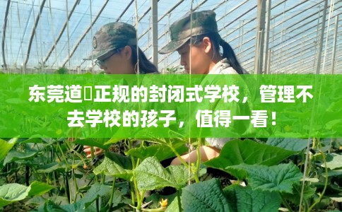 东莞道滘正规的封闭式学校，管理不去学校的孩子，值得一看！