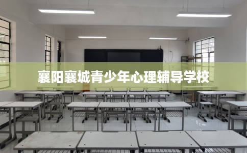 襄阳襄城青少年心理辅导学校