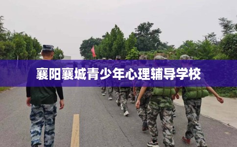 襄阳襄城青少年心理辅导学校