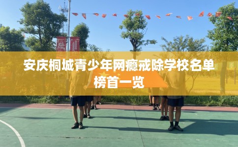 安庆桐城青少年网瘾戒除学校名单榜首一览
