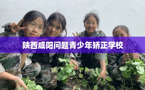 陕西咸阳问题青少年矫正学校