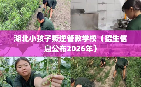 湖北小孩子叛逆管教学校（招生信息公布2026年）