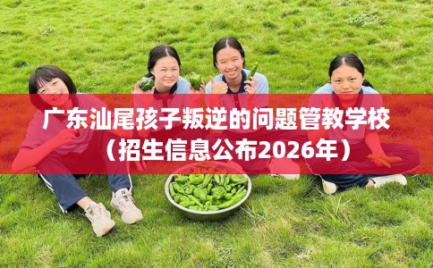 广东汕尾孩子叛逆的问题管教学校（招生信息公布2026年）