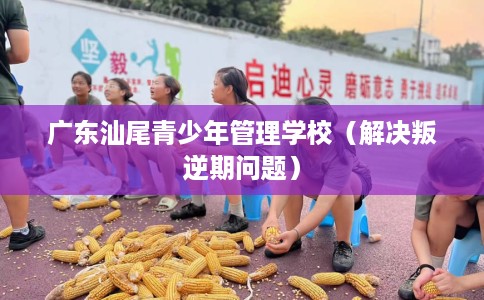 广东汕尾青少年管理学校(解决叛逆期问题) 广东汕尾青少年管理学校(解决叛逆期问题)