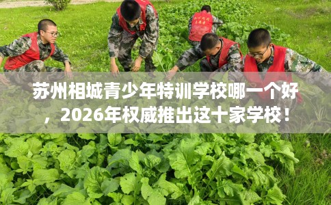 苏州相城青少年特训学校哪一个好，2026年权威推出这十家学校！