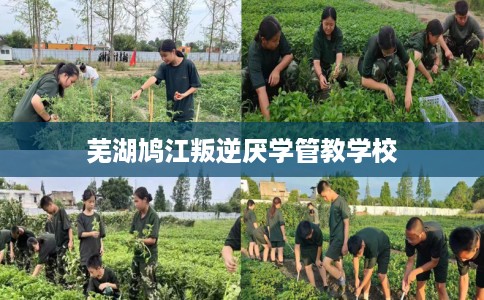 芜湖鸠江叛逆厌学管教学校
