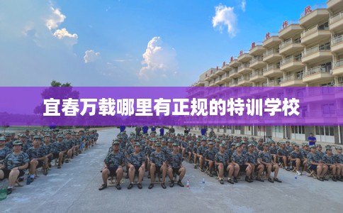 宜春万载哪里有正规的特训学校