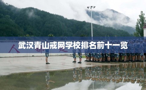 武汉青山戒网学校排名前十一览