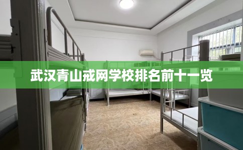 武汉青山戒网学校排名前十一览