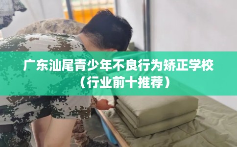 广东汕尾青少年不良行为矫正学校(行业前十推荐) 广东汕尾青少年不良行为矫正学校(行业前十推荐)