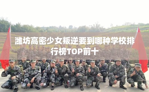 潍坊高密少女叛逆要到哪种学校排行榜TOP前十