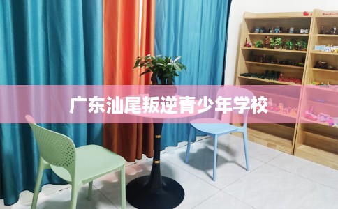广东汕尾叛逆青少年学校