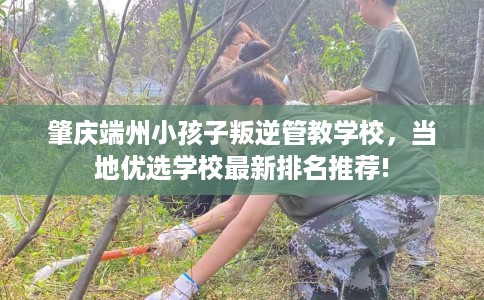 肇庆端州小孩子叛逆管教学校，当地优选学校最新排名推荐!