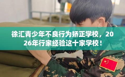 徐汇青少年不良行为矫正学校，2026年行家经验这十家学校！