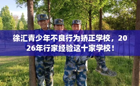 徐汇青少年不良行为矫正学校，2026年行家经验这十家学校！
