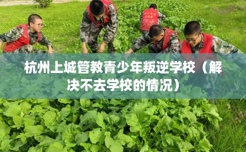 杭州上城管教青少年叛逆学校（解决不去学校的情况）