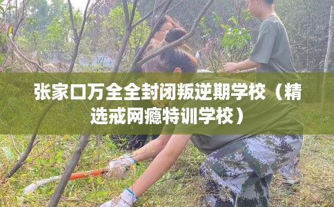 张家口万全全封闭叛逆期学校（精选戒网瘾特训学校）