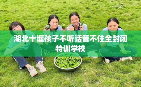 湖北十堰孩子不听话管不住全封闭特训学校