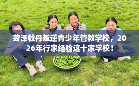 菏泽牡丹叛逆青少年管教学校，2026年行家经验这十家学校！