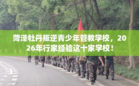 菏泽牡丹叛逆青少年管教学校，2026年行家经验这十家学校！