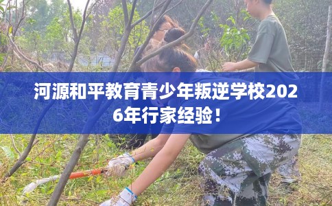 河源和平教育青少年叛逆学校2026年行家经验！