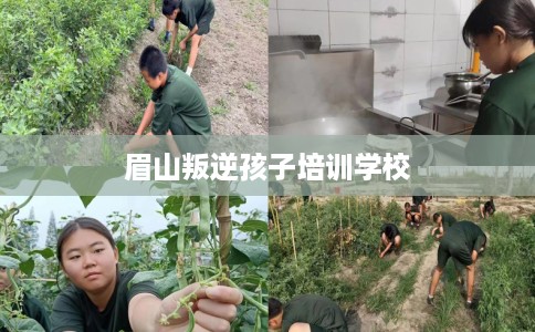 眉山叛逆孩子培训学校