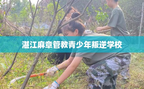 湛江麻章管教青少年叛逆学校