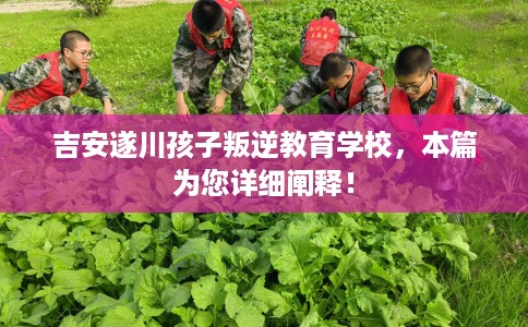 吉安遂川孩子叛逆教育学校，本篇为您详细阐释！