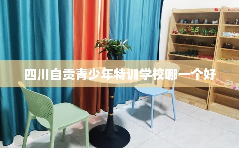 四川自贡青少年特训学校哪一个好