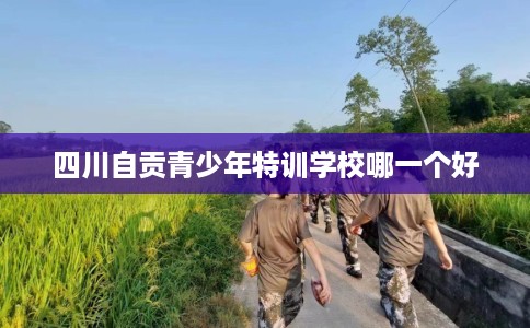 四川自贡青少年特训学校哪一个好