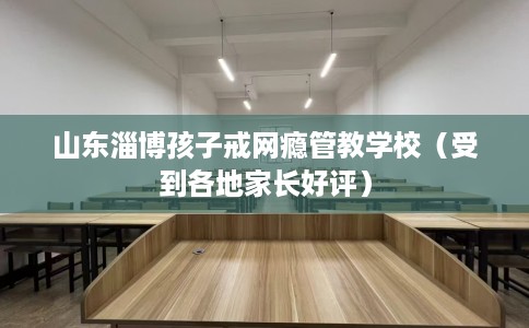 山东淄博孩子戒网瘾管教学校（受到各地家长好评）