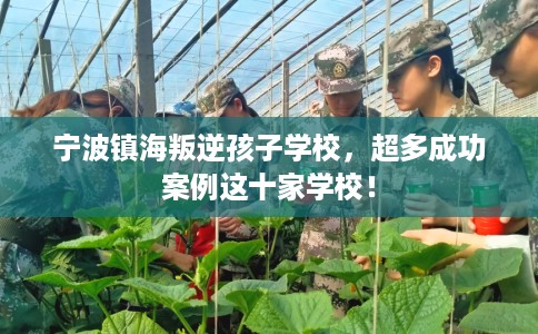 宁波镇海叛逆孩子学校，超多成功案例这十家学校！